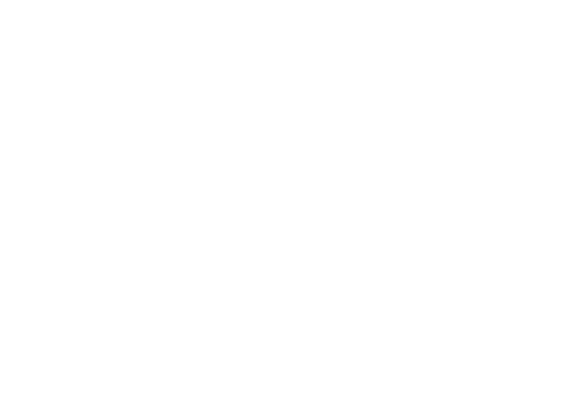 KYC Free Coins Logo